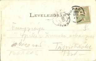 1905 Fogaras, Fagaras; Ferenc József tér, Heinrich Schul üzlete. Kiadja Szinberger Manó / square, sh...