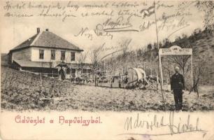 1905 Torbágy, Biatorbágy; Steer Mátyás vendéglője a Napvölgyhez, étterem