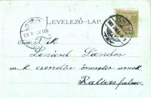 1903 Segesvár, Schässburg, Sighisoara; a város teljes látképe. Kiadja Teutsch Frigyes, Roth G. H. fé...