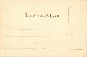 Lublófüred, Lubovnianske kúpele (Ólubló, Stará Lubovna); Aurora villa. Kiadja Szeiffert Endre / vill...