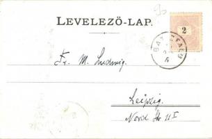 1899 Tátra, Tatry; Poprádi tó, Majláth menedékház, zergék / Popradské pleso, Majláthova chata / lake...