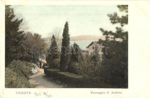 1905 Trieste, Trst; Passeggio S. Andrea / road