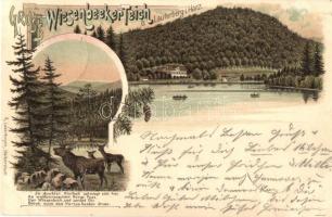 1897 (Vorläufer!) Bad Lauterberg im Harz, Wiesenbeker Teich / lake, deer. floral, litho