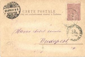 1899 Constantinople, Istanbul; Sirik Hamal / porters, Turkish folklore. Max Fruchtermann 138. (EK)