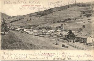 1905 Lavochne, Lawoczne; Bahnhof / railway station, wagons (kis szakadás / small tear)
