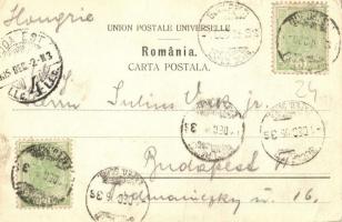 1905 Bucharest, Bukarest, Bucuresti; Muscal / fiacre, horse-drawn carriage. Editura Ad. Maier & ...