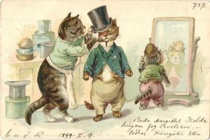 1899 Cat lady dresses cat gentleman. Theo. Stroefer Kunstverlag. Serie VII. No. 5523. litho (EK)