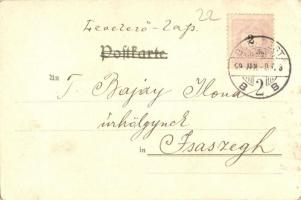 1899 Cat lady dresses cat gentleman. Theo. Stroefer Kunstverlag. Serie VII. No. 5523. litho (EK)