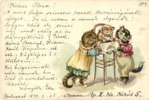 1899 Cats. Theo. Stroefers Kunstverlag Aquarell-Postkarte Serie VII. No. 5522. litho (EK)