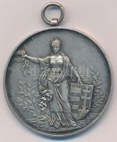 Giovanni Morelli (1816-1891) / Exner Károly (1850-1919) 1911. "Magyar Athletikai Szövetség Vers...