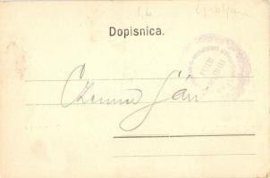 Ljubljana; Laibach; Gluhonemnica, Dezelna bólnica / Institution for the Deaf and Dumb, hospital