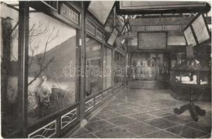 40 db RÉGI külföldi képeslap, sok japán / 40 pre-1945  Asian postcards, many Japanese + 2 FDC