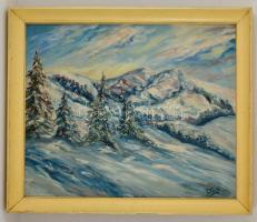 Sztelek jelzéssel: Téli hegyoldal. Olaj, vászon, keretben, apró lyukkal, 50×60 cm