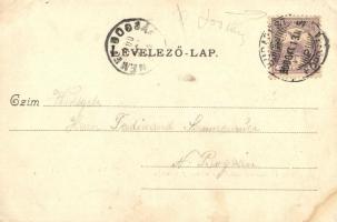 1900 Budapest VIII. Üllői út, Egyetemi II. számú szülő és nőbeteg kóroda, női klinika (megerősített ...