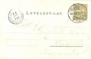 1902 Budapest IX. Iparművészeti Múzeum, Üllői út, litho