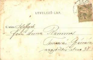 1904 Budapest V. Petőfi tér, Petőfi szobor. Divald Károly 216. sz. (EB)