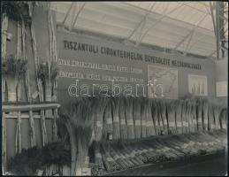 Vegyes fotó tétel, 7 db, 9x14 cm és 21x27 cm