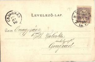 1900 Budapest I. Kilátás a Krisztinaváros felől, Lánchíd, Királyi vár. Kiadja Divald Károly 28. sz. ...