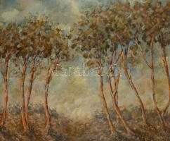 Olvashatatlan jelzéssel: Hajló fák. Olaj, vászon, festék kopott, keretben, 58×74 cm