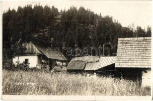 1941 Székelyudvarhely, Odorheiu Secuiesc; Erdei élet / houses near the forest, Transylvanian folklore. Kovács István photo