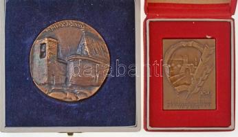 9db-os emlékérem, plakett tétel, közte egy jelvény DN "S.V.F.K.P." hátoldalán jelzett Ag (...