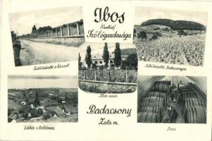 Badacsony, Ibos család szőlőgazdasága, szőlőrészlet a házzal, Ibos kúria, pince belső. Hátoldalon reklám (non PC)