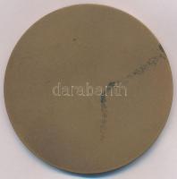 1972. "Székely Mihály Zenei Napok Jászberény" Br plakett (60mm) T:2