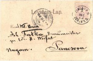 1898  Zimony, Semlin, Zemun; Bahnhof / Vasútállomás, létra, gőzmozdony / railway station, ladder, lo...