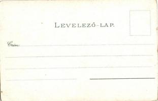 Dévény, Theben a. d. Donau, Devín (Pozsony, Bratislava); látkép a dévényi vár romjaitól nézve. Ottma...