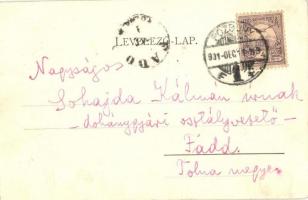 1901 Pozsony, Pressburg, Bratislava; látkép, rakpart, gőzhajó, vár. "Bediene dich allein" ...