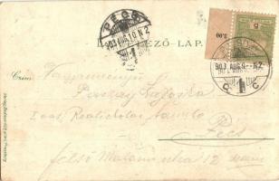 1903 Pozsony, Pressburg, Bratislava; látkép, rakpart, gőzhajó, vár, kikötő, tehervagonok. "Bedi...