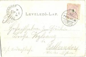 1899 Gurahonc, Honctő, Gurahont; kilátás a Jószáshelyi hegyről, vasútállomás, cementgyár, iparvasút,...