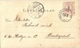 1899 Selmecbánya, Schemnitz, Banská Stiavnica; látkép / general view (EB)