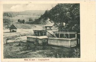 Székelykeresztúr, Cristuru Secuiesc; Sós-gyógyfürdő. Szemerjay Károly kiadása / Baia de sare / salt thermal spa