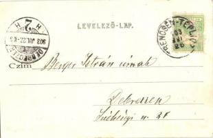 1903 Trencsénteplic, Trencianske Teplice; villa. Kiadja Gansel Lipót 313. sz.  / villa (EK)