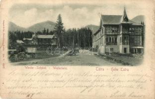 1900 Tátraszéplak, Weszterheim, Tatranska Polianka (Tátra, Magas Tátra, Vysoké Tatry); nyaraló / villa. Emb. (ázott / wet damage)