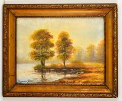 Neogrády jelzéssel: Fák a vízparton. Akvarell, papír, üvegezett keretben, 25×33 cm