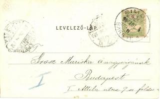 1900 Simony, Partizánske, Batovany; Korosi kastély és park / castle and park (vágott / cut)