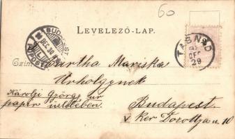 1898 Budapest XIV. Városliget, Ezredéves országos kiállítás, Bosnyák ház