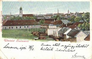 1901 Losonc, Lucenec; látkép, zsinagóga. Kiadja Kármán 6584. / general view with synagogue (fa)