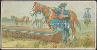 cca 1900 Stollwerk Chocolade gyűjtői kártya, Csíkós, 4,5x9 cm