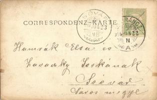 1906 Szobránc, Sobrance; előkelő társaság kirándulása, faágon ülő fiú / gentleman and ladies, hikers...