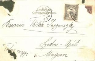 1901 Holics, Holic; Reitlehr-Institut / Lovaglótanár-képző  intézet, lovagló iskola. Kiadja Arth. We...