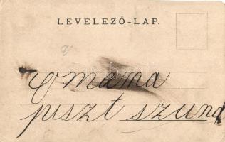 1900 Szenice, Szenicz, Senitz, Senica; Vasúti katasztrófa, vasúti híd, vasúti szerencsétlenség / rai...