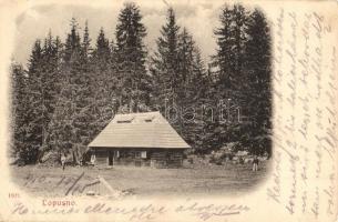1910 Lopuszno, Lopusno; wooden house in the forest, chalet (EB)