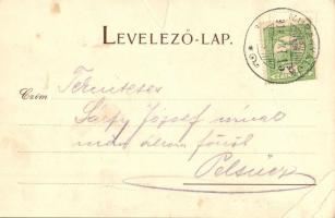 1910 Lopuszno, Lopusno; wooden house in the forest, chalet (EB)