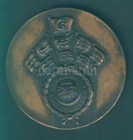 Líbia 1953. "Pán Arab Játékok" Br emlékérem T:2