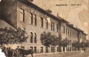1914 Nagykikinda, Kikinda; Szerb iskola / Serbian school (EM)