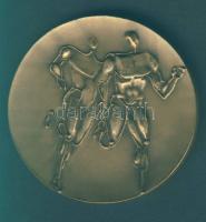 1966. "Atlétikai EB" Br emlékérem T:1