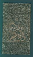 1982. "Kötöttfogású Bírkózó Világkupa" szögletes Br emlékplakett T:2